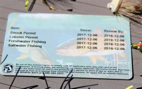 fishing license sd cost